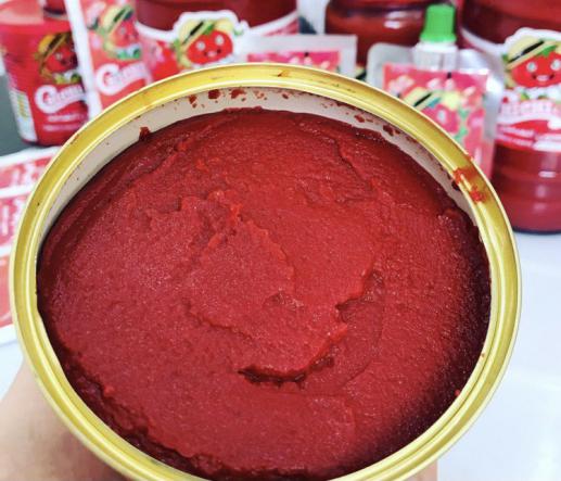 Wholesale Purchase of Full Red Tomato Paste