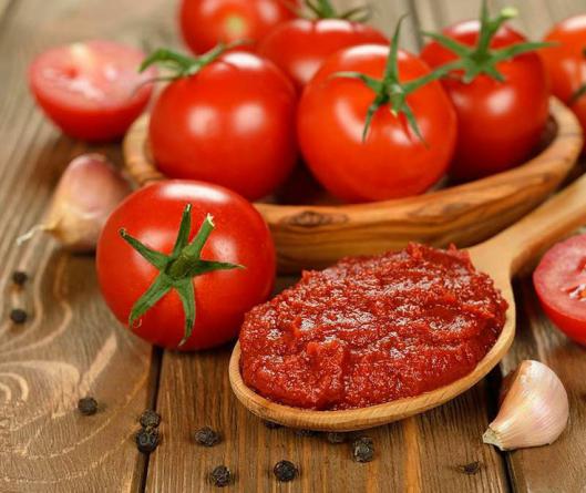 Buy Red Tomato Paste in Bulk