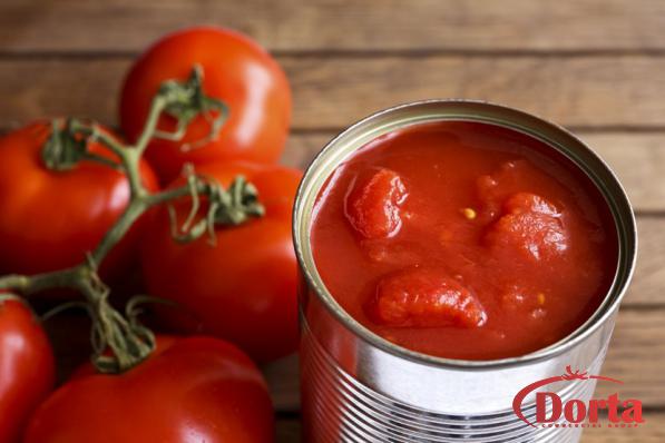 Wholesale Sales of Large Can Size Tomato Paste 