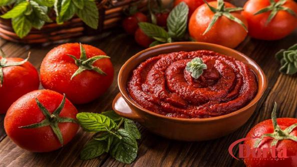 Special Sale of Red Color Tomato Paste with the Best Quality