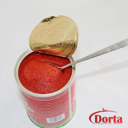 Tomato Paste 800g in Bulk