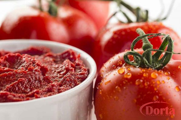 3 Factors to Export Large Can Tomato Paste 