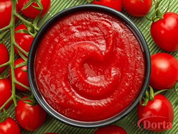 Organic Pure Tomato Paste Price 