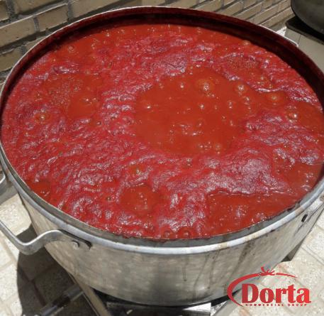  Wholesale Purchase Price of the Best Organic Tomato Paste