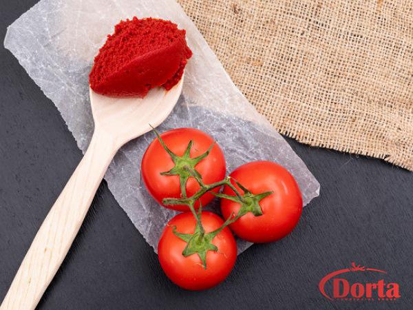 5 Types of Tomato Paste Packaging Design 