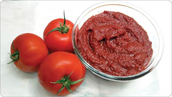 Red Tomato Paste at Best Price