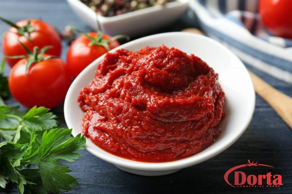 Fresh Tomato Paste per kg Suppliers 