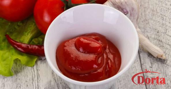 What Are the Characteristics of Suger Free Tomato Paste ?