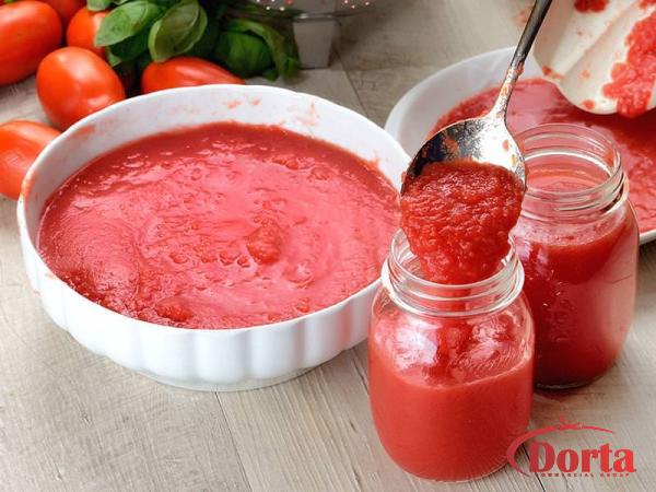 Tomato paste types buying guide + great price