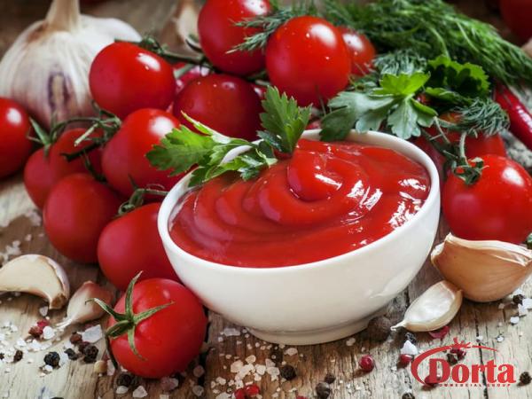 Tomato paste brands purchase price + quality test