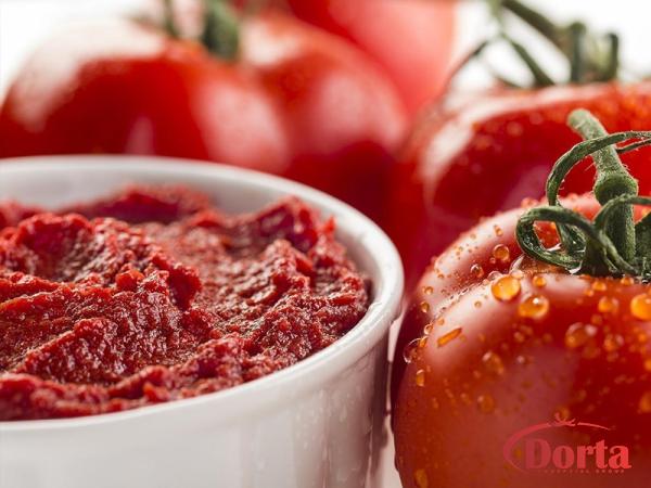 Fresh tomato paste buying guide + great price