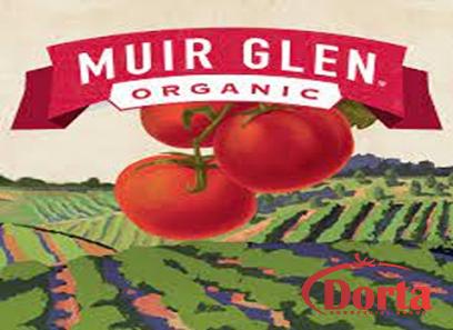 Muir Glen Organic Tomato Paste with complete explanations and familiarization