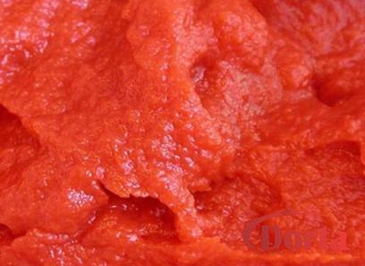 tomato paste no salt specifications and how to buy in bulk