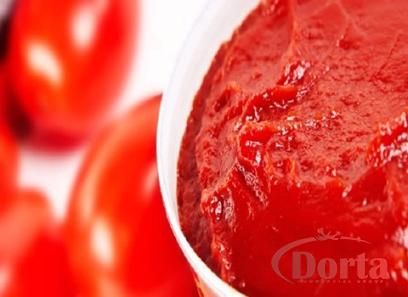 tomato paste zambia price list wholesale and economical